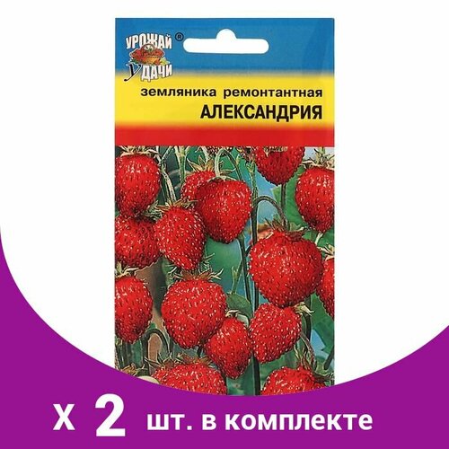 Семена Земляника 'Александрия' рем,0,04 гр (2 шт)