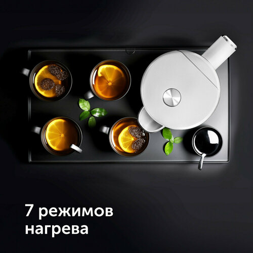 Чайник электрический Red Solution RK-M112D 581800₽