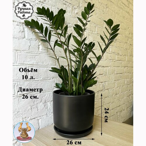 Большой напольный керамический горшок для растений - замиокулькас, фикус, пальма. 10 литров.