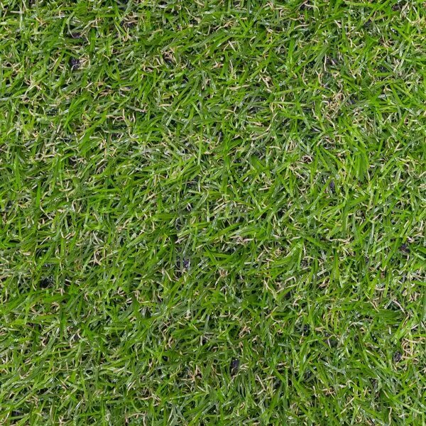 фото Искусственный газон «Grass» толщина 17 мм ширина 4 м цвет зеленый