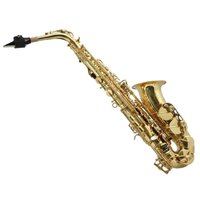 Новая серия саксофонов Trevor James SR выпущена взамен легендарной серии Horn Revolution II, которая была удостоена  ...