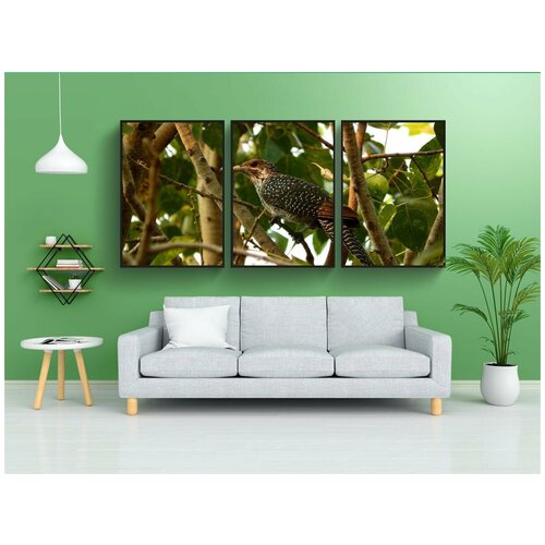 фото Набор модулных постеров для интерьера "кукушка, коэль, азиатский" 60x90 см. в тубусе, без рамки lotsprints