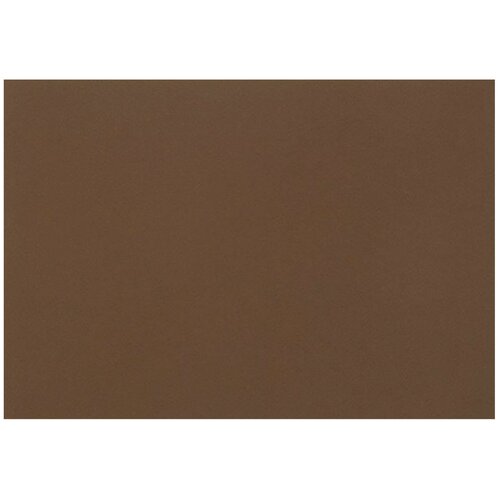 Бумага для пастели FABRIANO Tiziano А2+ (500х650 мм), 160 г/м2, кофейный, 52551009, 10 шт.