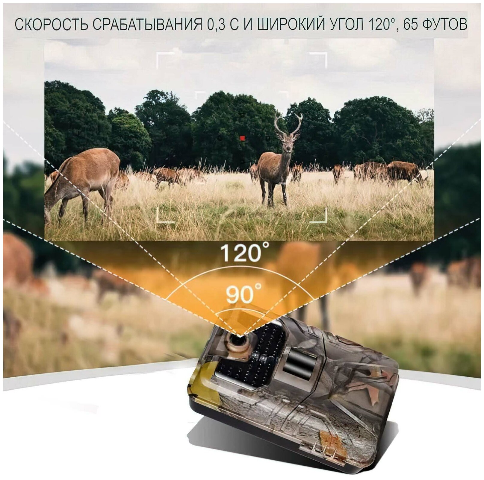 Фотоловушка Suntek HC-900A - фотография № 9