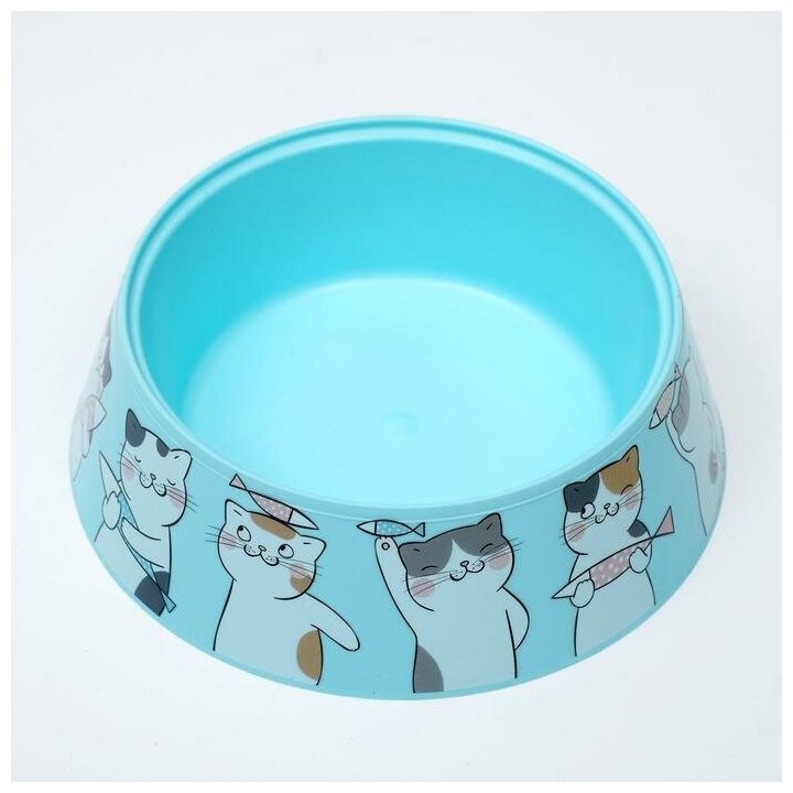 Миска "Мур-мяу" для кошек 0,3 л, 14,5 x 14,5 x 4 см, голубая - фотография № 3