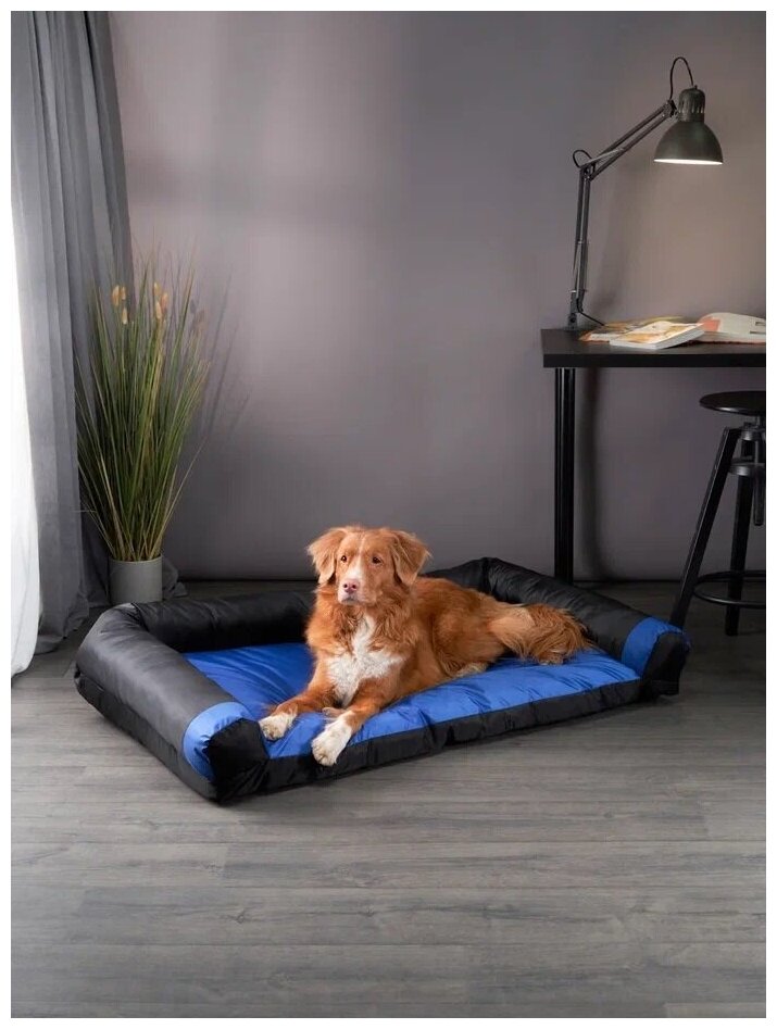 Диван-лежак антивандальный для собак очень крупных пород 120*70см Blue / black - фотография № 2