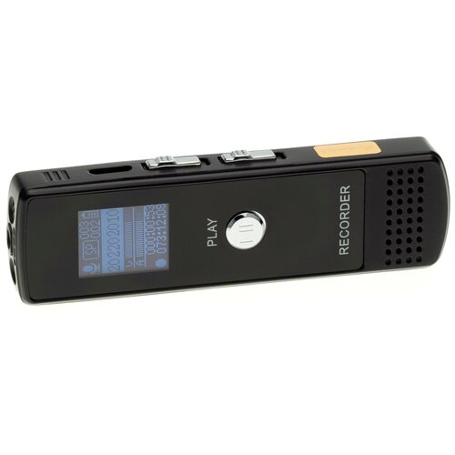 Диктофон Ambertek VR250F 356400₽