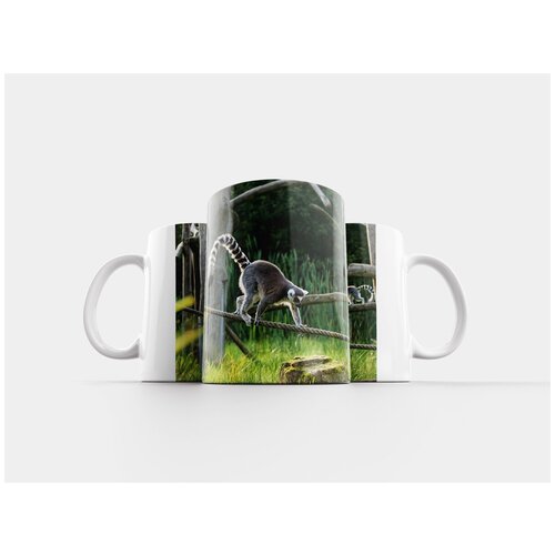 фото Кружка "кошачие лемуры, лемуры род, мадагаскар" 320 мл lotsprints