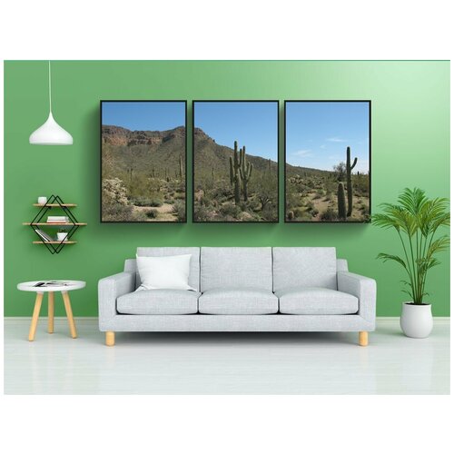 фото Набор модулных постеров для интерьера "пустыня, кактус, природа" 60x90 см. в тубусе, без рамки lotsprints