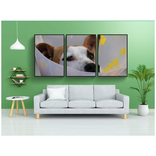 фото Набор модулных постеров для интерьера "собака, голова собаки, защитный воротник" 60x90 см. в тубусе, без рамки lotsprints
