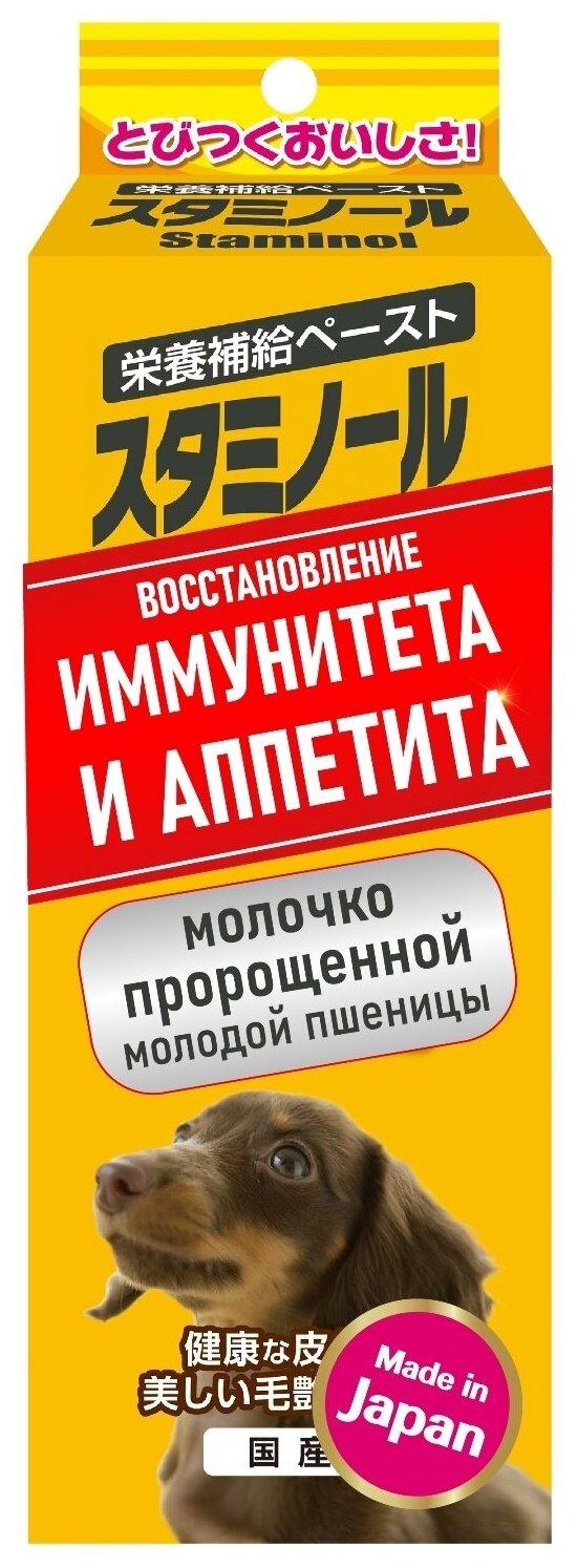 Стаминол для восстановления иммунитета и аппетита в период и после болезни для собак. 33г.