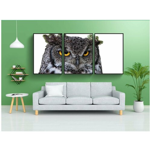 фото Набор модулных постеров для интерьера "сова, великий герцог, png" 60x90 см. в тубусе, без рамки lotsprints