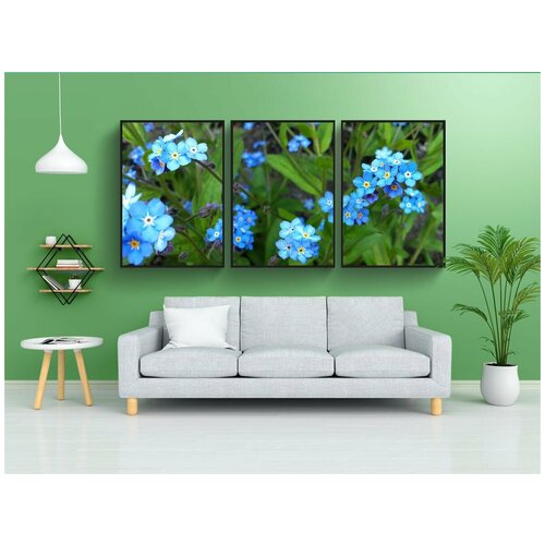 фото Набор модулных постеров для интерьера "первоцветы, расцветает, синий" 60x90 см. в тубусе, без рамки lotsprints