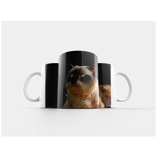 фото Кружка "британская короткошерстная кошка, чистокровный, шерсть" 320 мл lotsprints