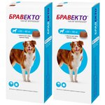 Бравекто таблетка для собак весом от 20 до 40 кг против блох и клещей уп. 1 таблетка (1 + 1 шт) - изображение