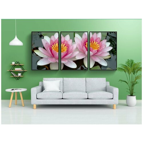 фото Набор модулных постеров для интерьера "лили, лотос, плавающий" 60x90 см. в тубусе, без рамки lotsprints