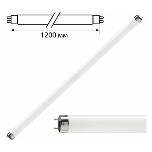 Лампа люминесцентная PHILIPS TL-D 36W/33-640, комплект 30 шт, 36 Вт, цоколь G13, в виде трубки 120 см
