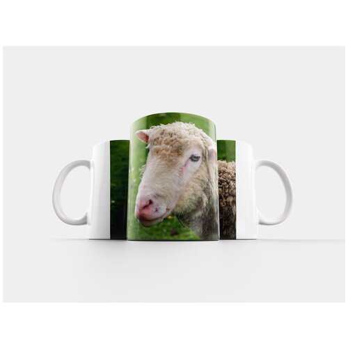 фото Кружка "париж, версаль, парк" 320 мл lotsprints