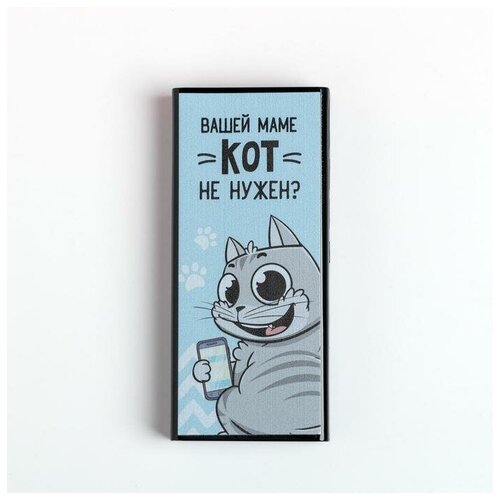 Зарядное устройство Вашей маме кот не нужен 6000 mAh 62x14 см 139800₽