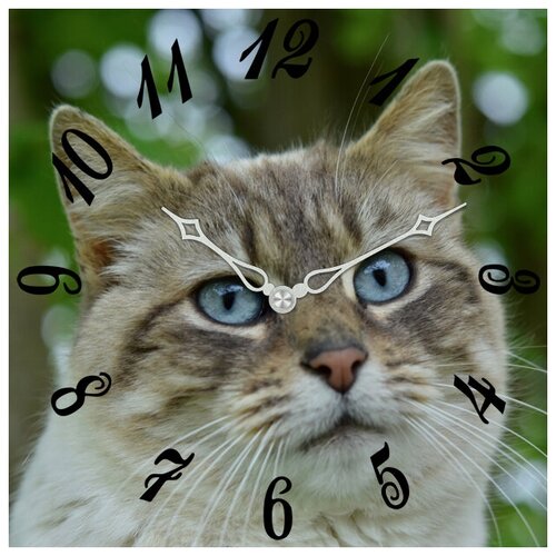 фото Svs настенные часы svs 3003199