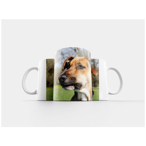 фото Кружка "собака, портрет, животное" 320 мл lotsprints