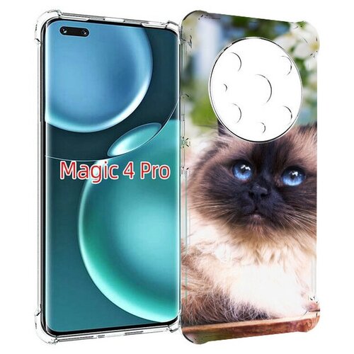 Чехол MyPads порода кошка Бирман для Honor Magic4 Pro / Magic4 Ultimate задняя-панель-накладка-бампер