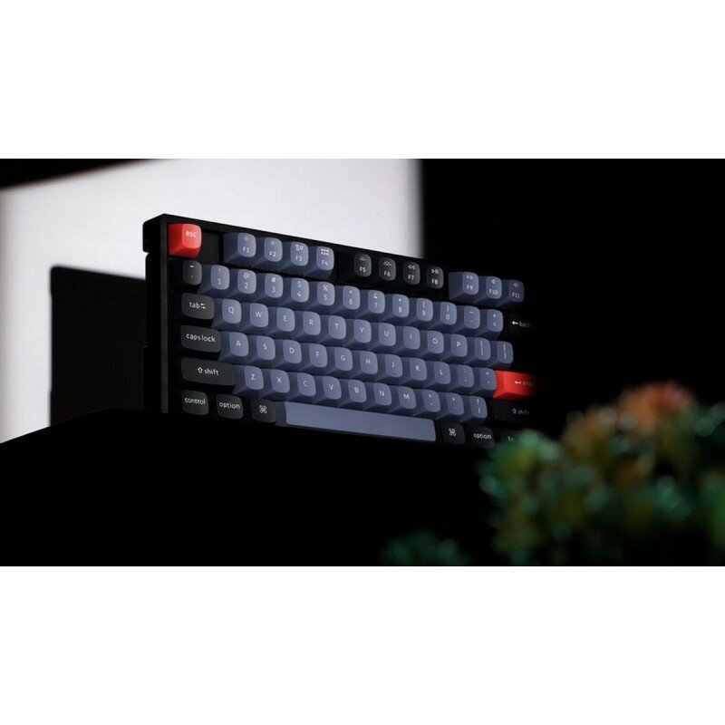 Клавиатура Keychron K8P-J2, Gateron G pro Mechanical Blue Switch, RGB - фото №2