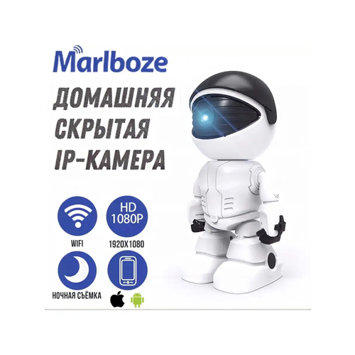 Видеокамера WiFi 