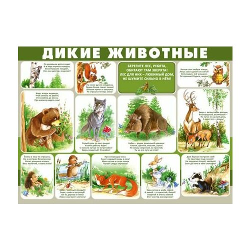Плакат А2 Дикие животные 300₽