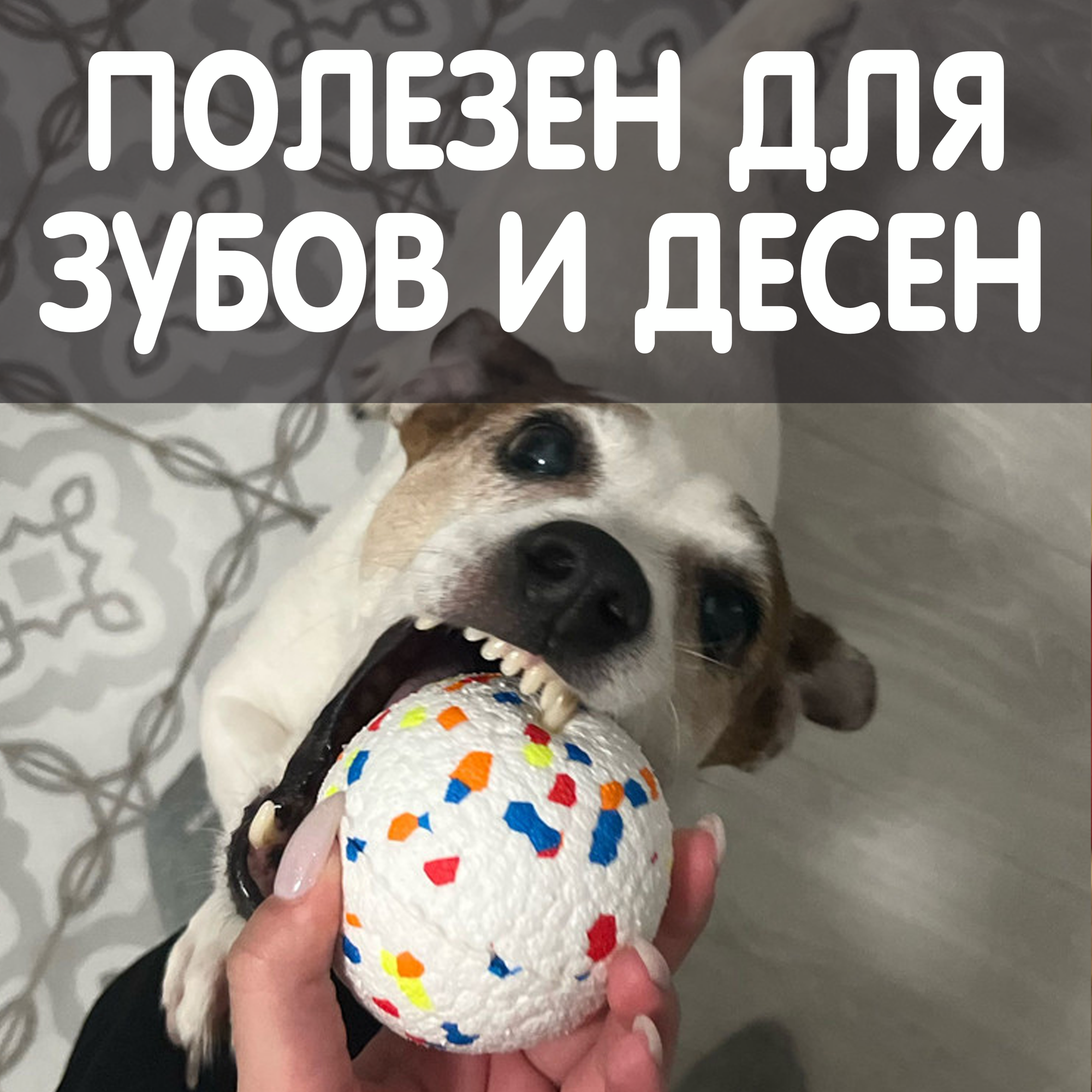 Мячик для собак мелких и средних пород, игрушка для щенков прочная - фотография № 7