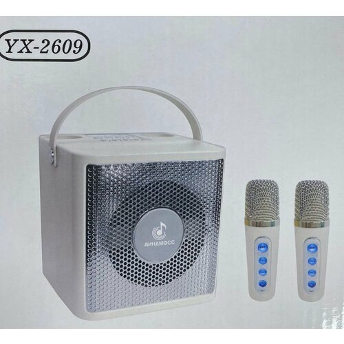 Беспроводная караоке система Стерео система Портативное караоке от GadFamily 279000₽