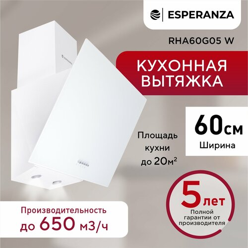 Наклонная вытяжка 60 см ESPERANZA RHA60G05 W 1125000₽