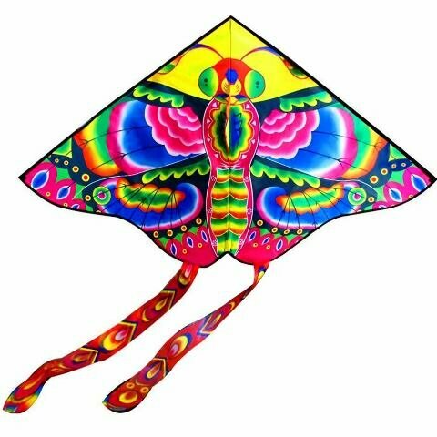 фото Воздушный змей "Бабочка" 170*150см в сумке