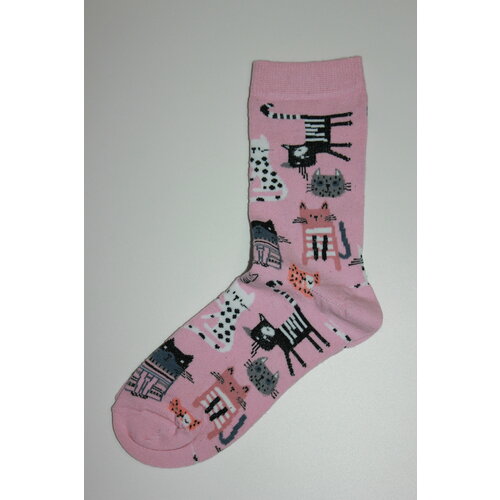 Носки Frida, размер 38-45, бежевый носки мужские классические хлопок