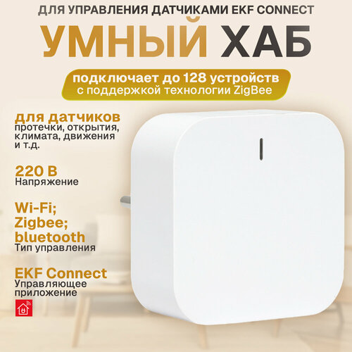 Умный хаб EKF Connect