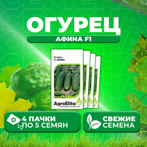 Огурец Афина F1, 5шт, AgroElita, Nunhems (4 уп)