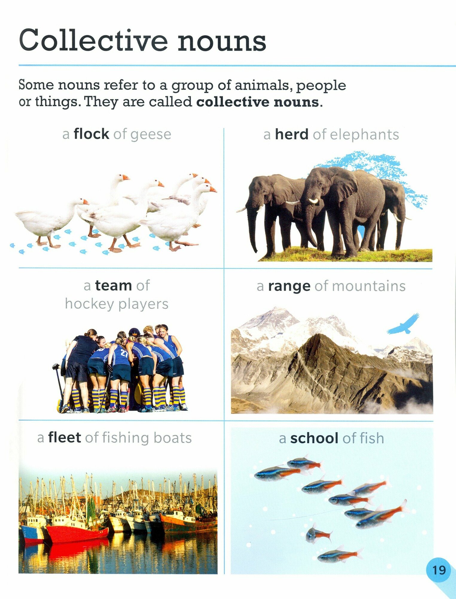 Visual Guide to Grammar and Punctuation - фото №3