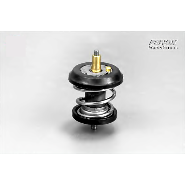 FENOX TS111 (06H121113B / 06H121113BS1 / TS111) термостатс уплотнительным кольцом, 95 град.\VW Golf (Гольф) v,