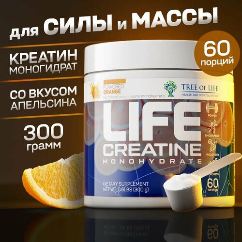 Creatin(300гр)Tree of Life( апельсин) 10pcs tree of life