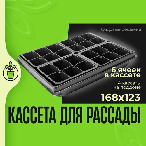 Кассеты для рассады, ящики для рассады, с поддоном № 1, кассета 6 ячеек 168*123 155 мл - 4 шт, поддон глубокий малый 400*300, 