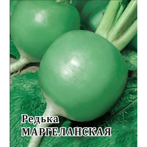 Семена Редька Маргеланская, 25г, Гавриш, Фермерское подворье, 2 пакетика