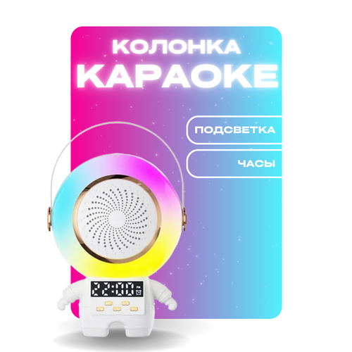 Колонка-караоке с микрофонами блютуз 217500₽