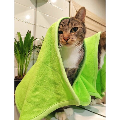 Полотенце для кошек.