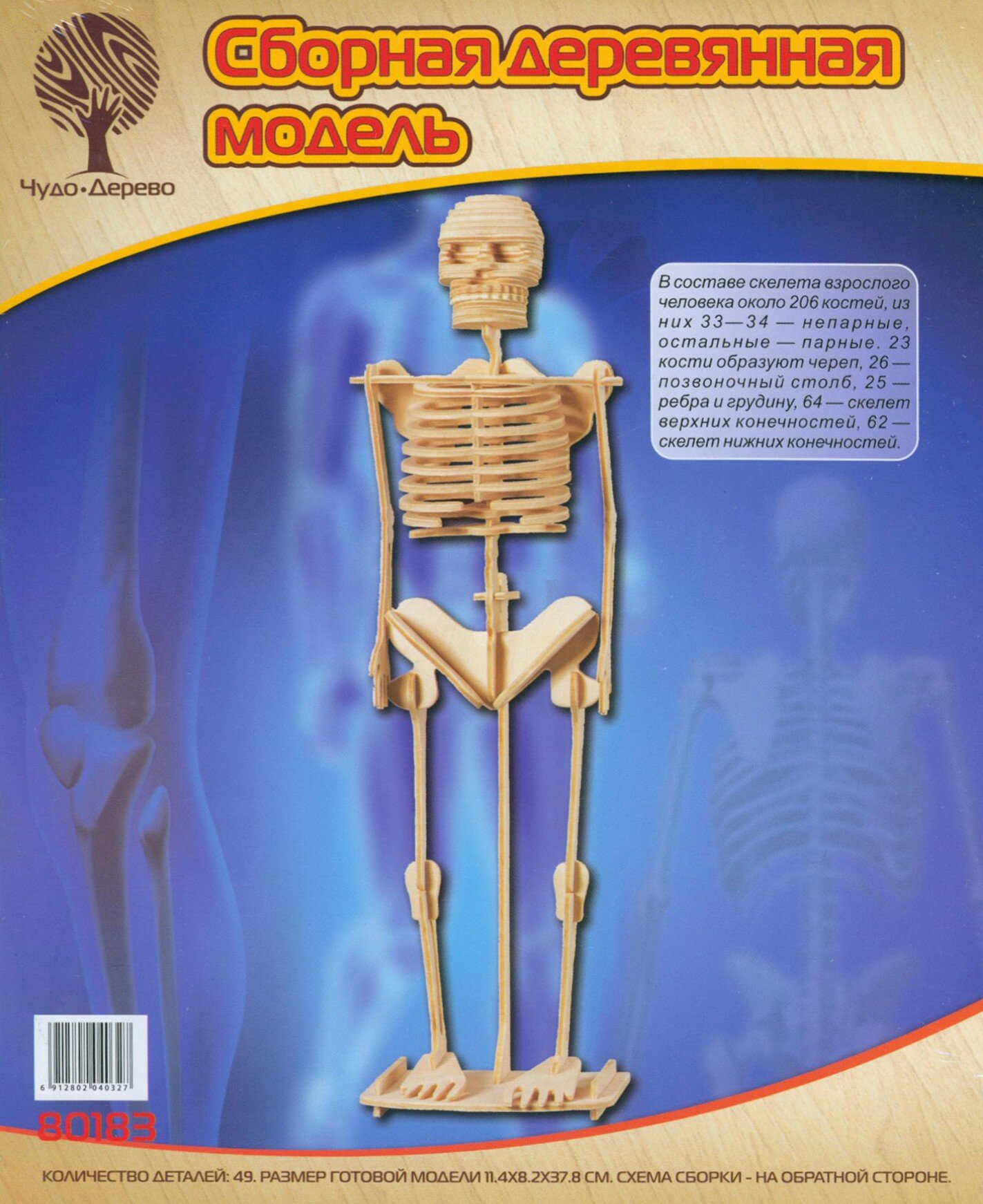 Сборная деревянная модель Чудо-Дерево Скелет человека (3 пластины)