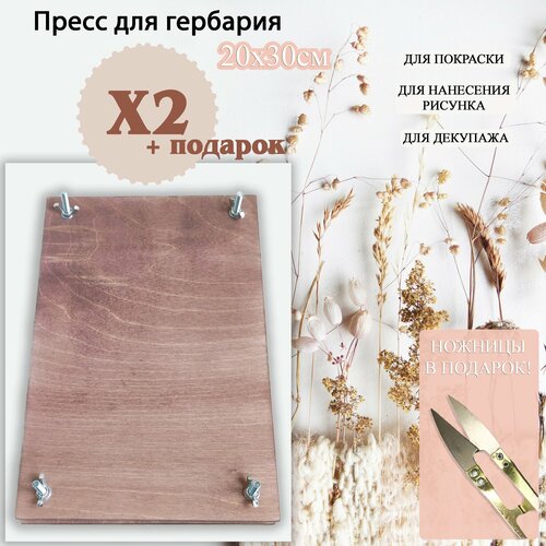 Пресс для гербария 2600₽