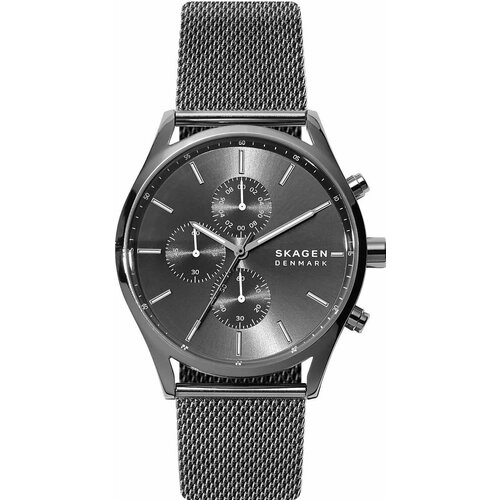 Наручные часы SKAGEN Holst, серый