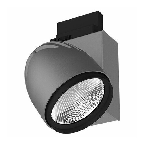 Светильник направленного света точечный BIXX-T 10383035 SI LTS 664793 4043544739292 39250₽
