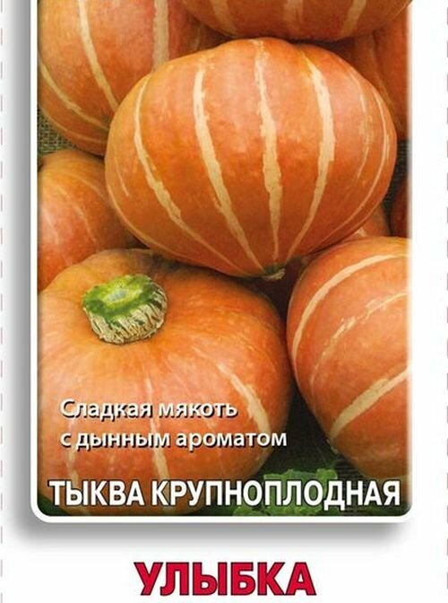Семена Тыква Улыбка крупноплодная 10 шт.