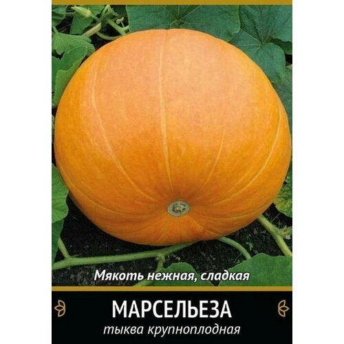 Семена Тыква Марсельеза крупноплодная