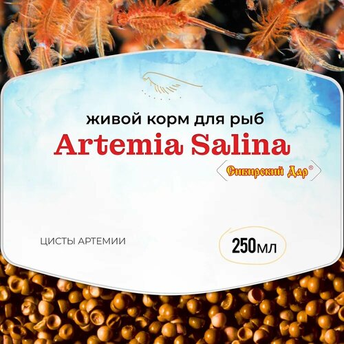 Живой корм для рыб Сибирский дар - Artemia Salina, 250 мл - яйца артемии (цисты) для мальков, кораллов, ракообразных